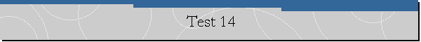 Test 14