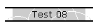 Test 08